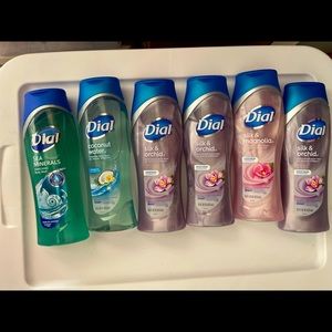 Dial body wash bundle
